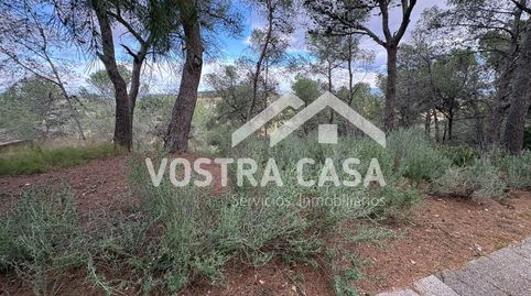 Foto 4 de Terreno en venta en Dos, -1, El Bosque, Chiva