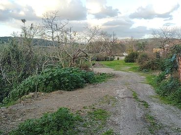 Terreno residencial en venta en La Granja - La Colina - Los Pastores