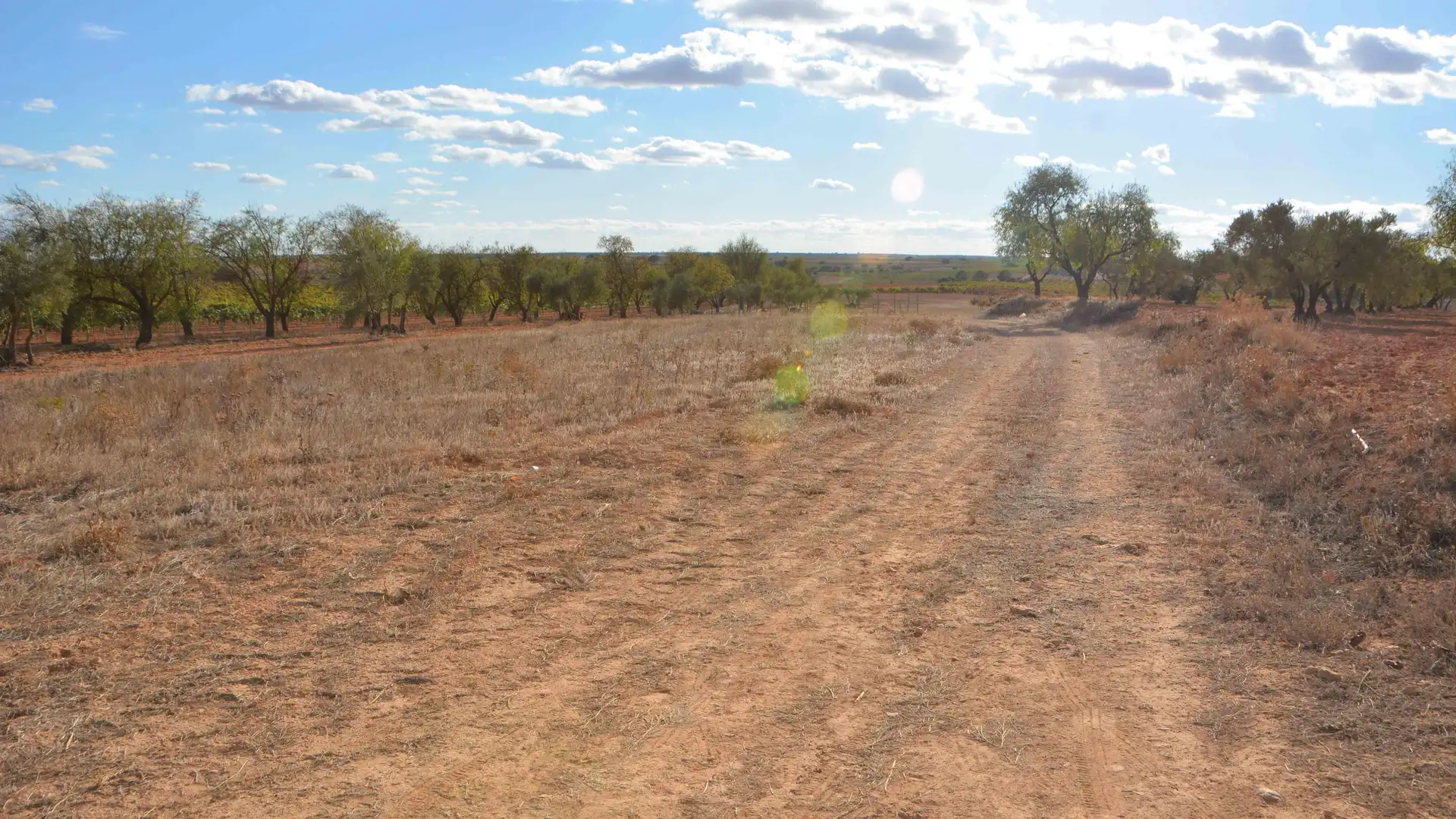 Terreno en venta en Iniesta
