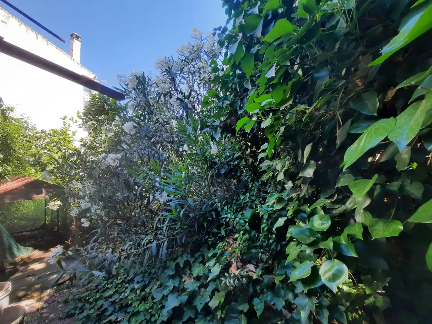 Garden of Residential for sale in Torremolinos