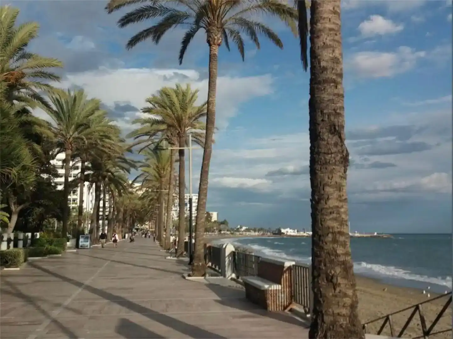 Vista exterior de Local de alquiler en Marbella Centro