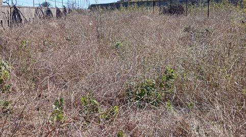 Foto 4 de Terreny en venda a Calle Barranco San Juan, 45, El Pris - Juan Fernández, Tacoronte