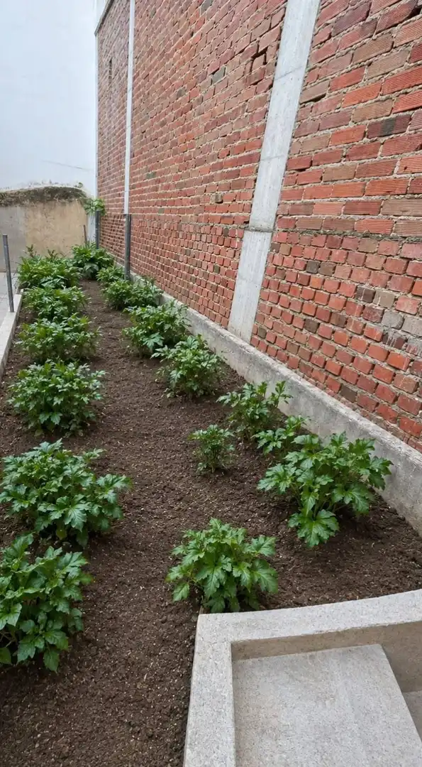 Pis amb jardí en venda a Centro Ciudad