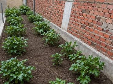 Wohnung mit Garten zum Verkauf in Centro Ciudad