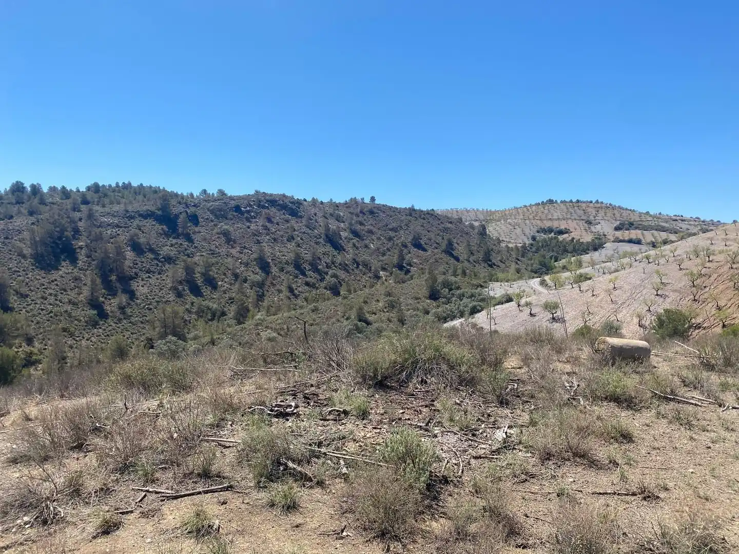 Terreno rustico in vendita a Pedanías Centro, imagen 4