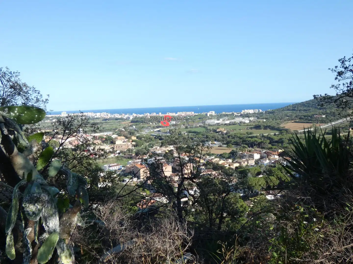 Terreny residencial en venda a Cabanyes - Mas Ambrós - Mas Pallí