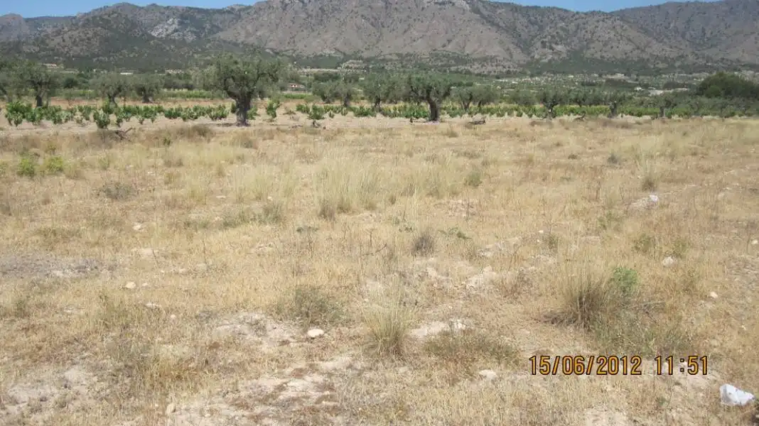 Terreno rustico in vendita a Salinas de Oro / Jaitz, imagen 2