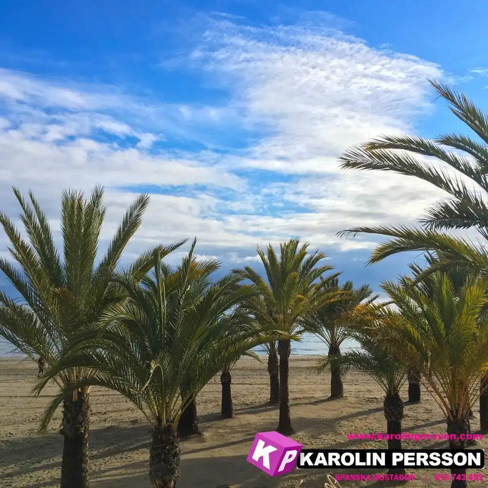 Piso con terraza en venta en Dean Llopez, imagen 11