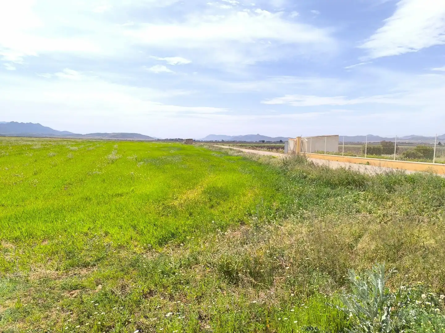 Country homes for sale in Yecla
