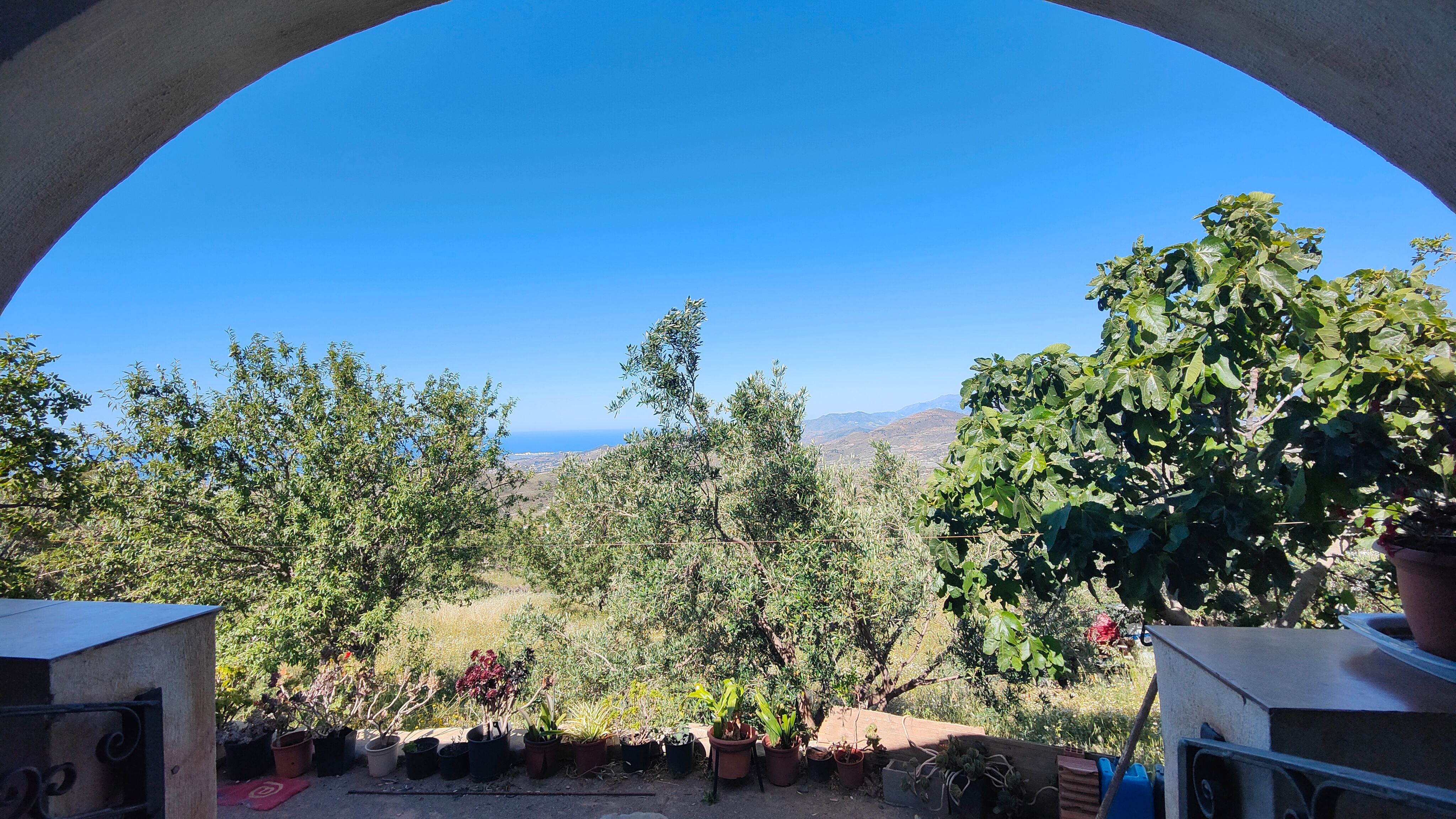 Garden of Country house for sale in Vélez de Benaudalla  with Air Conditioner, Heating and Private garden