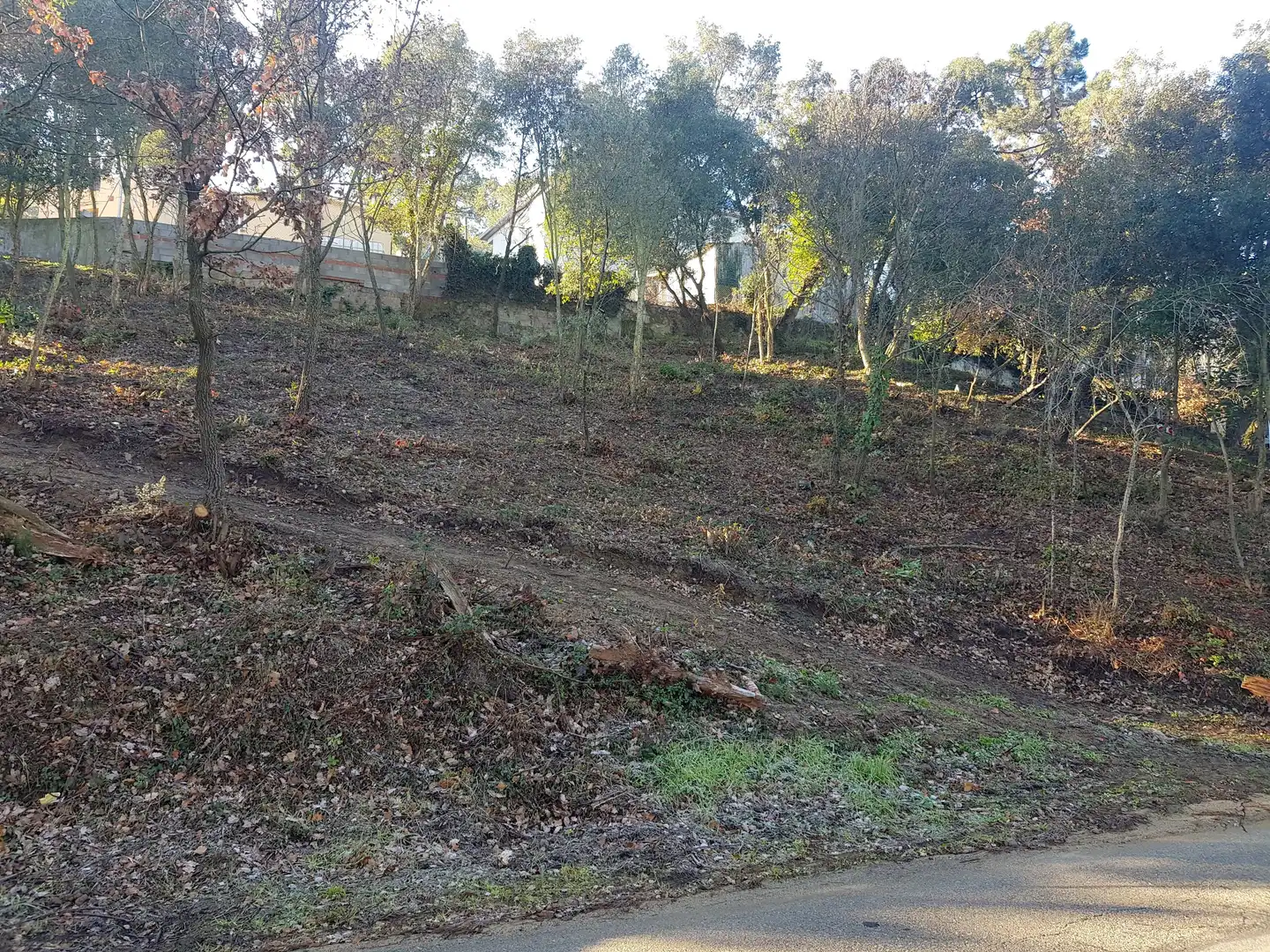 Terreno residencial en venta en Carrer del Pi Ric, imagen 4