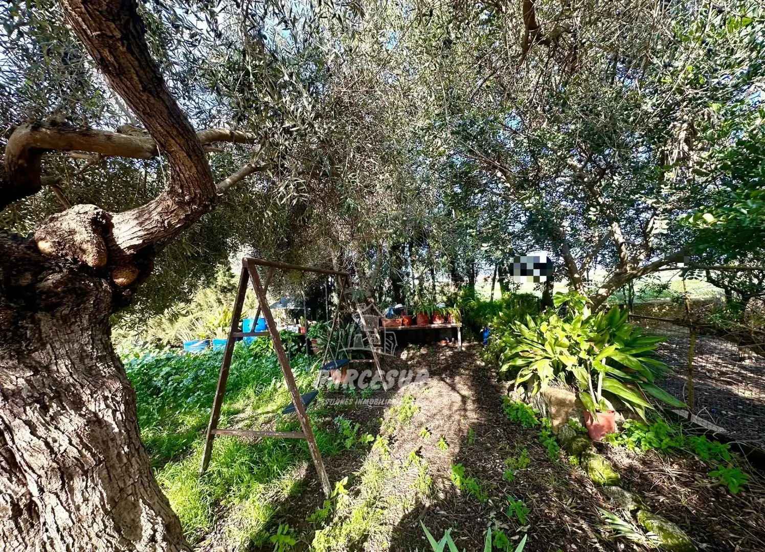 Garten von Country house zum Verkauf in Córdoba mit Schwimmbad