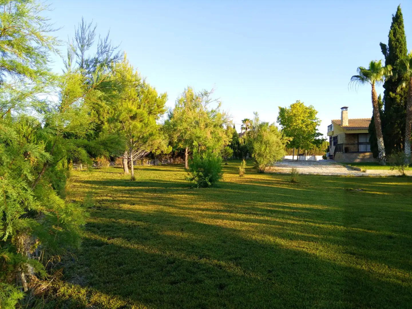 Villa con piscina in vendita a Carretera Elda-Sax, imagen 16