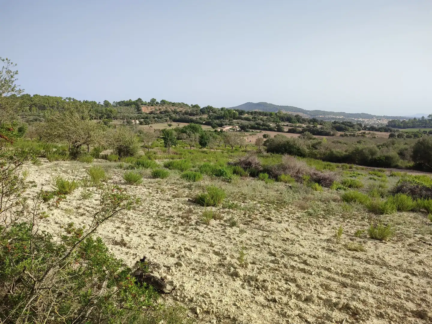 Terreny residencial en venda a Sant Joan, imagen 3