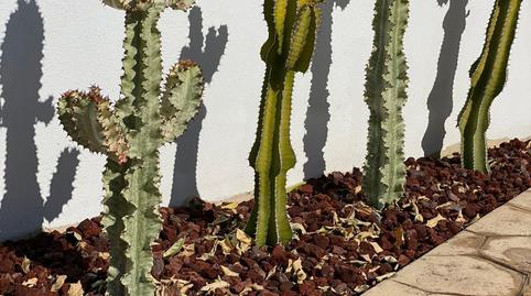 Foto 4 de Casa o xalet en venda a Partida Encanyissada, 8, Eucaliptus - Poble Nou del Delta, Tarragona