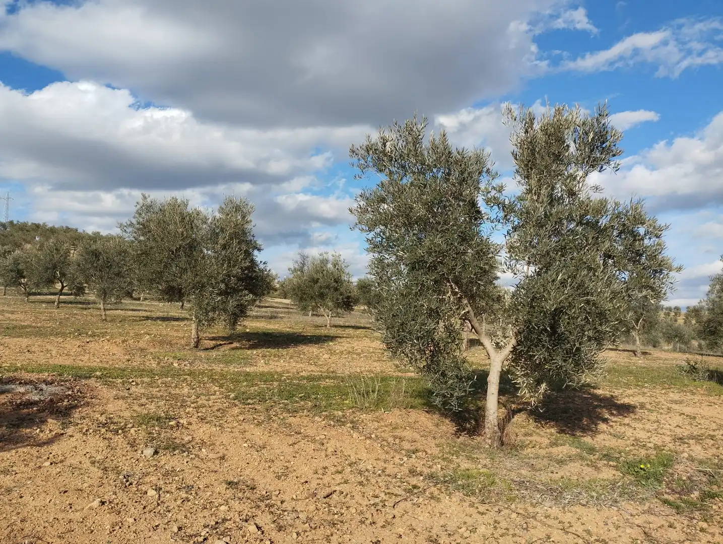 Rural land for sale in Calle Río Anzur, imagen 9