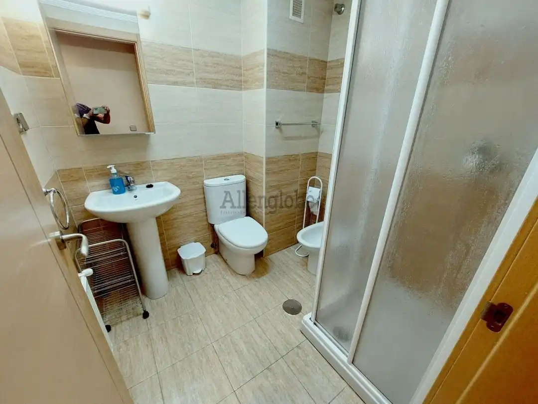 Flat with lift to rent in Calle Vicente Aleixandre, imagen 10
