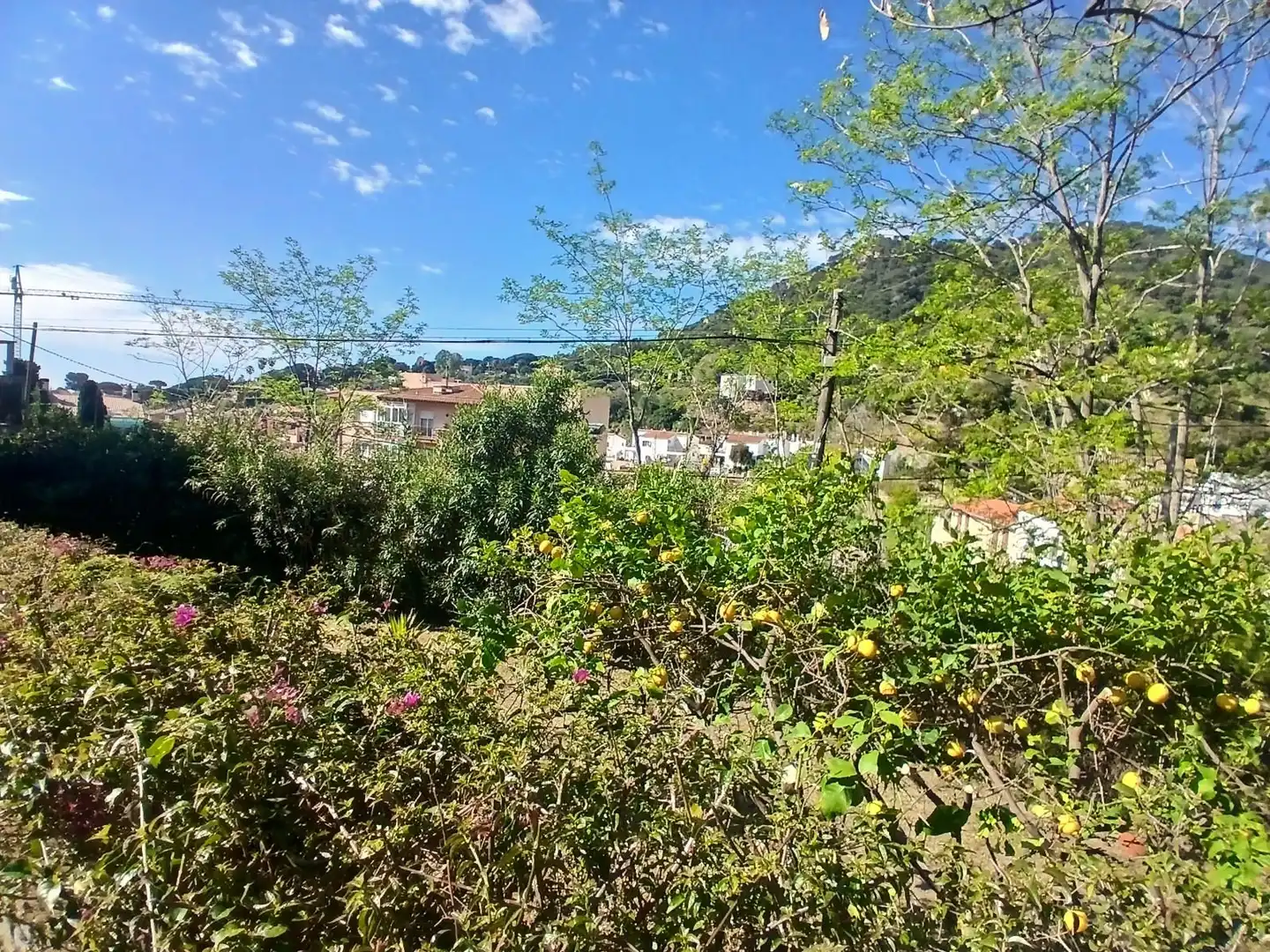 Terreny residencial en venda a Sant Vicens, imagen 10