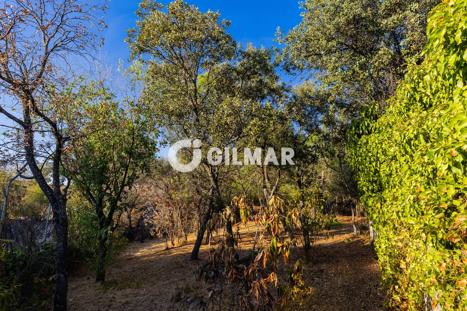 Residencial en venda en Madrid