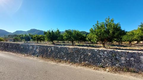 Foto 3 de Terreny en venda a Tormos, Alicante