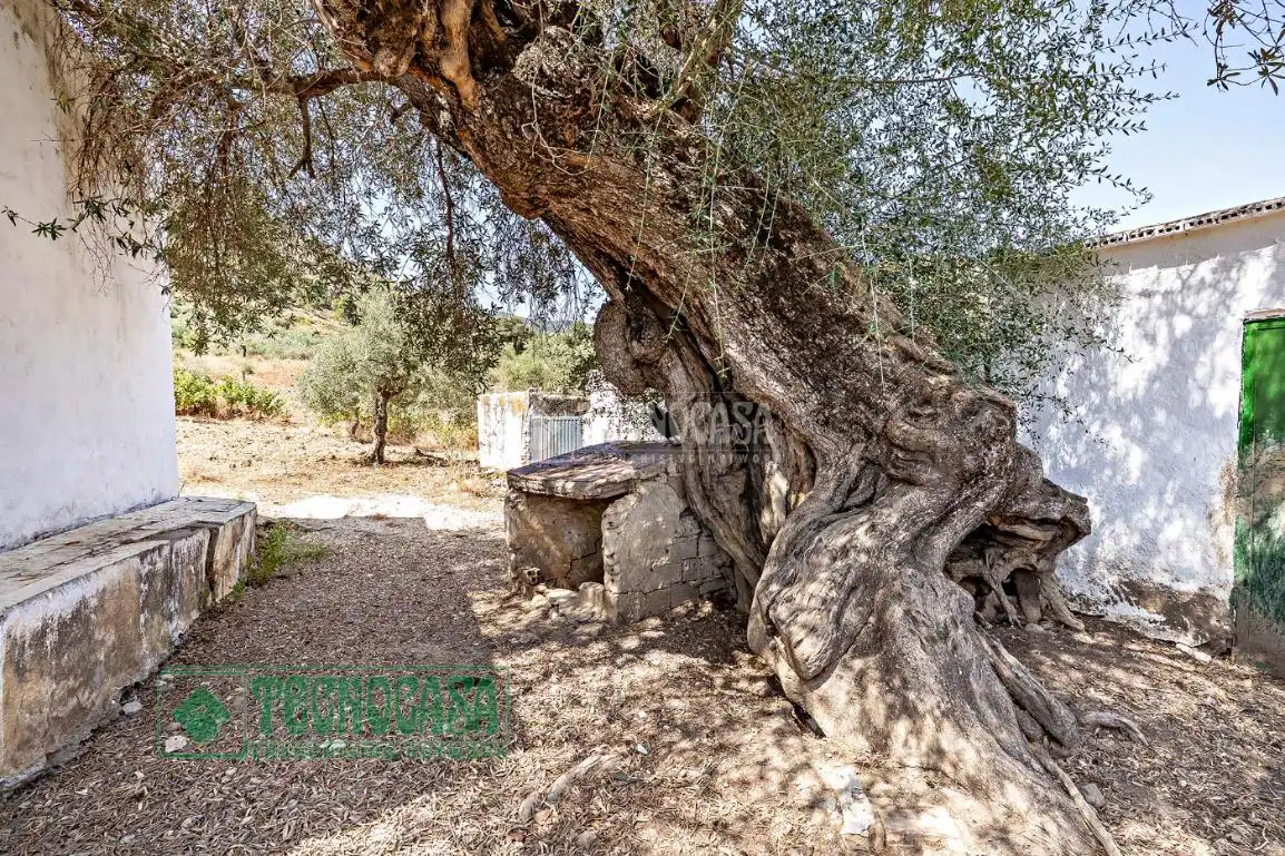 Exterior view of Land for sale in Tolox