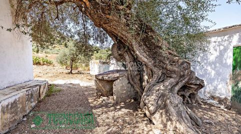 Terrenos en venta en Tolox, imatge 4