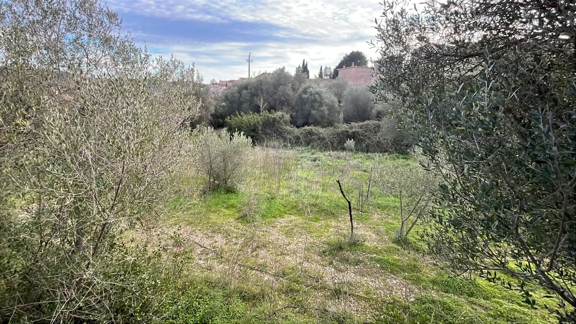 Terreny residencial en venda a Puigpunyent, imagen 11