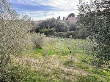 Terreny residencial en venda a Puigpunyent
