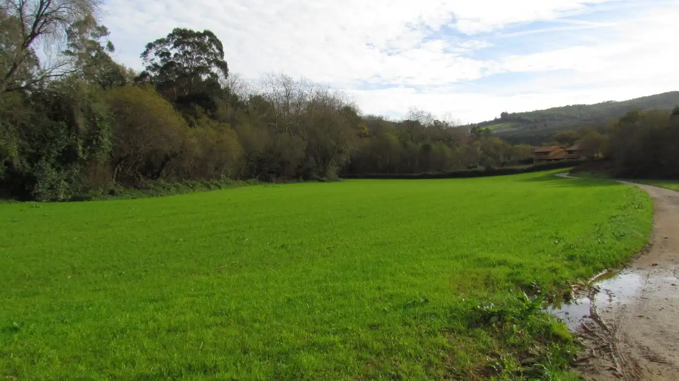 Country homes for sale in Ruiloba