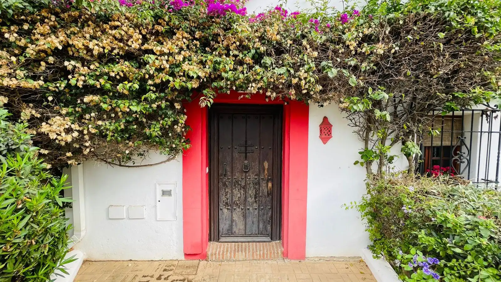 Exterior view of Duplexes for rent in San Pedro de Alcántara