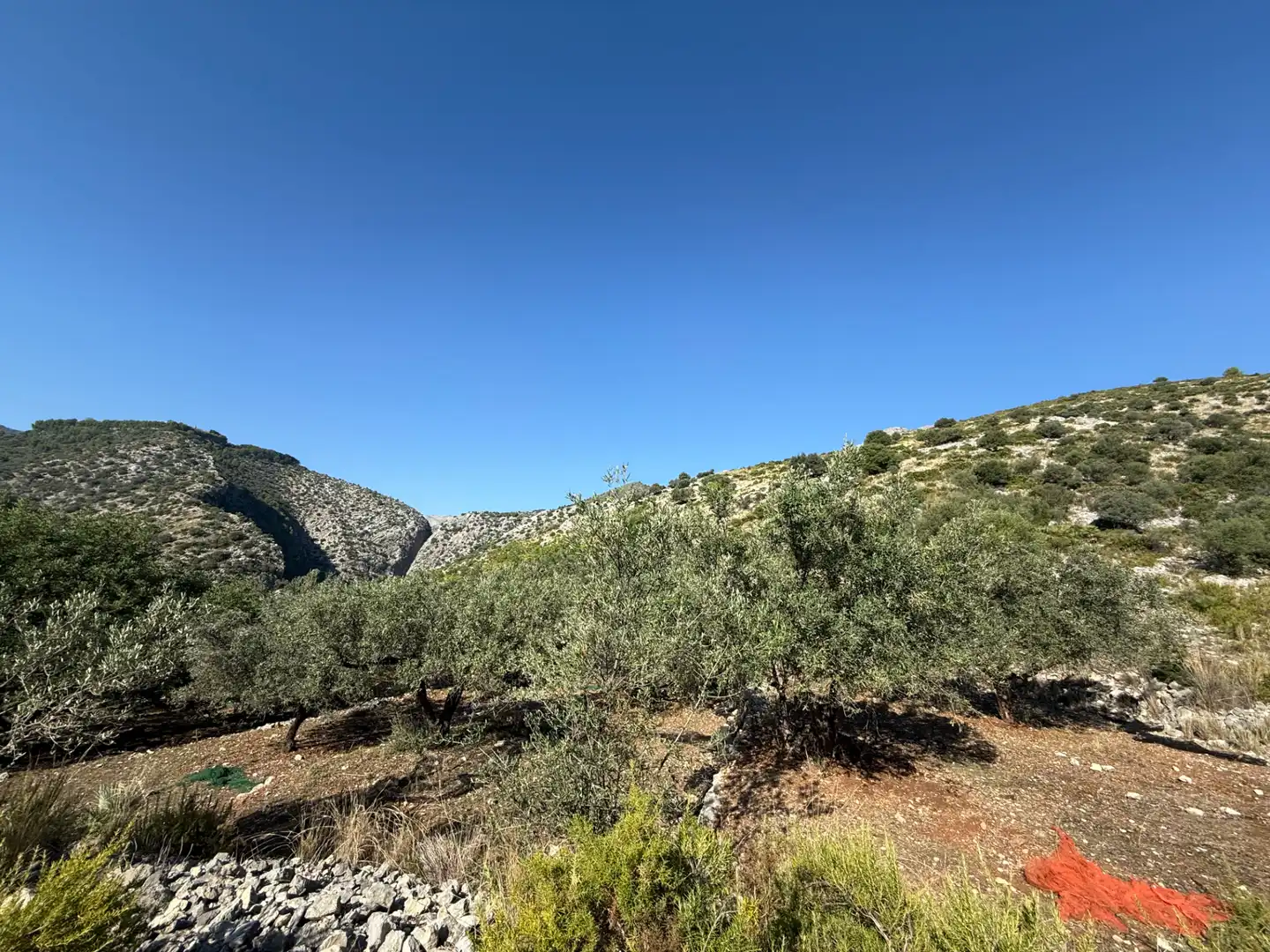 Terreny rústic en venda a La Vall de Laguar, imagen 14