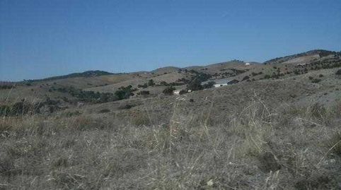 VELEZ-RUBIO (Almería). Paraje "Campillo-Lizarán"., immagine 5
