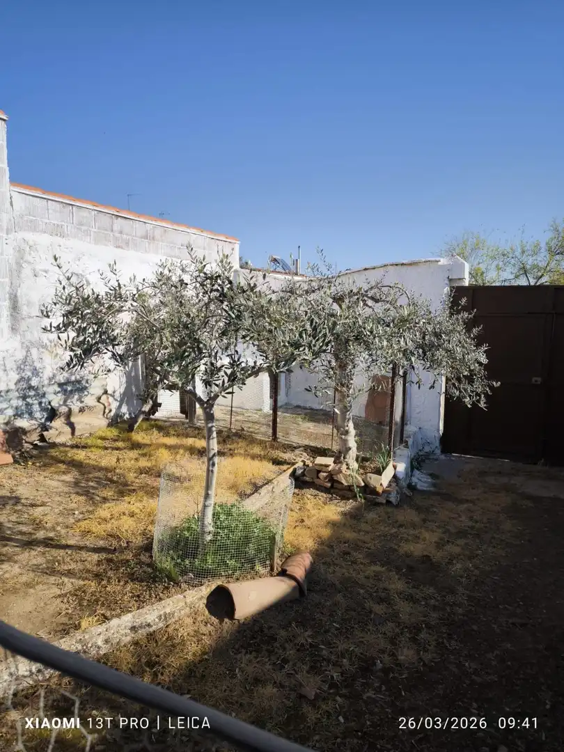 Maison rustique à vendre à Fuente Obejuna, imagen 9