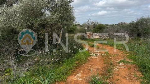 Foto 5 de Casa o chalet en venta en N/a, Zona Rústica - Interior, Campos