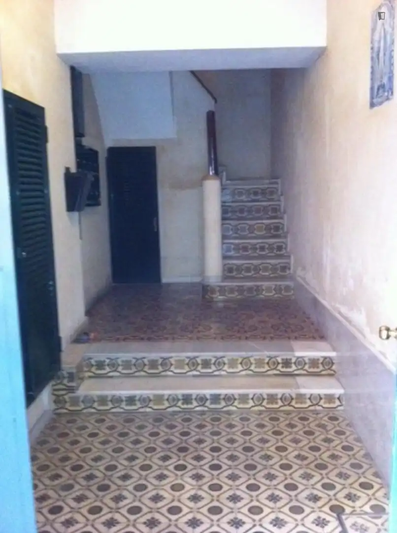 Apartments for rent in Encarnación - Regina