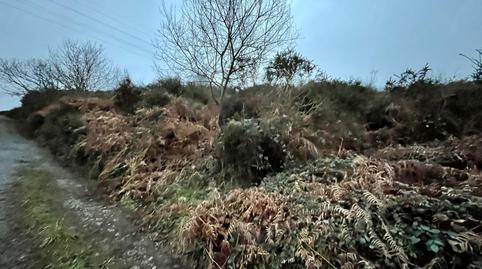 Photo 5 of Land for sale in Parroquias Sur - La Manjoya, Asturias