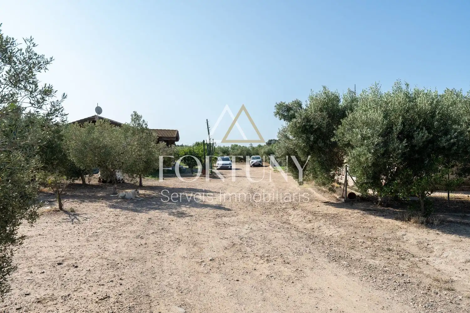 House with pool for sale in Riudoms, imagen 42