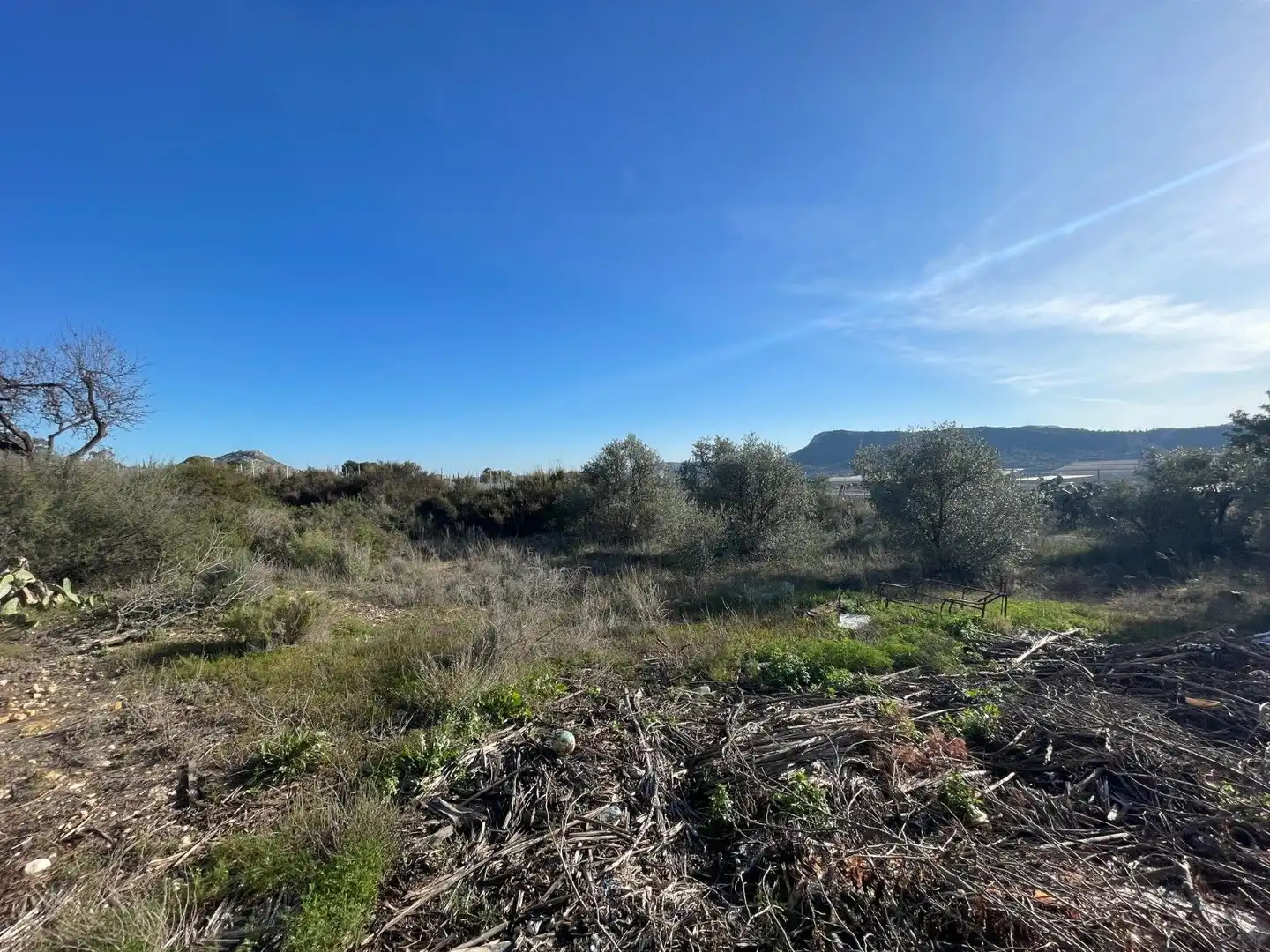 Land for sale in Aspe