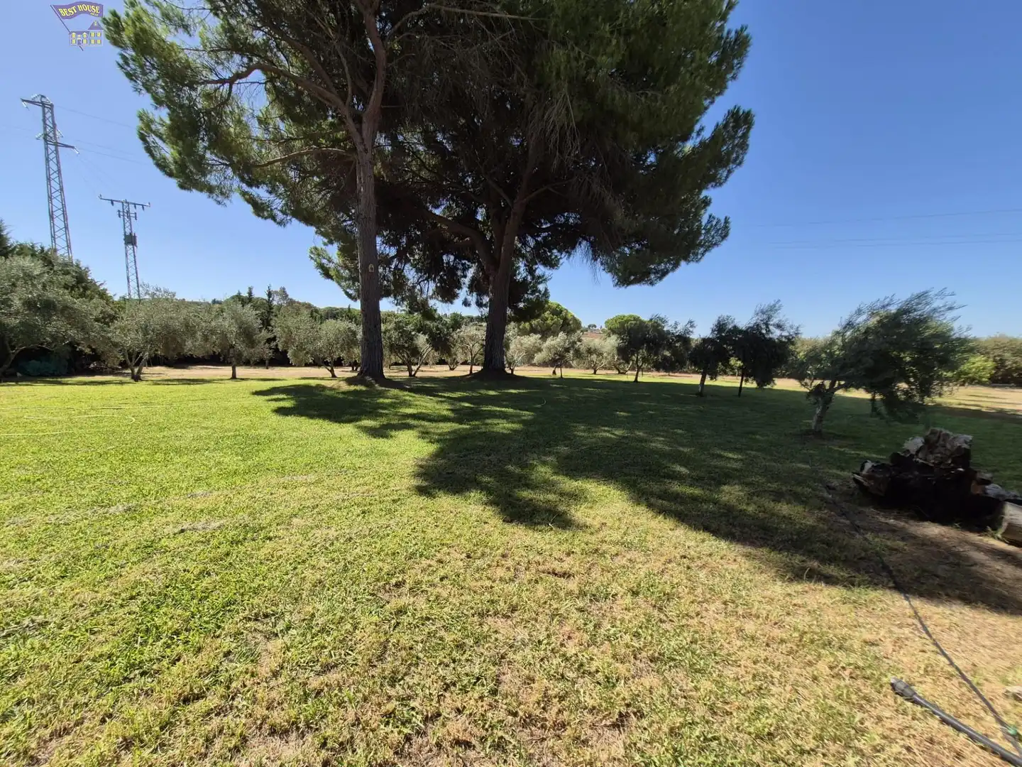 Villa avec piscine à vendre à Arcos de la Frontera, imagen 59