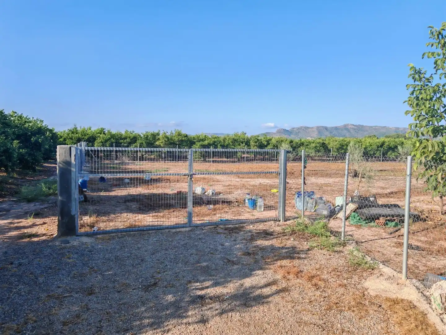 Rural land for sale in Benavites, imagen 3