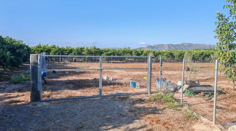 Foto 3 de Terreno en venta en Benavites, Valencia