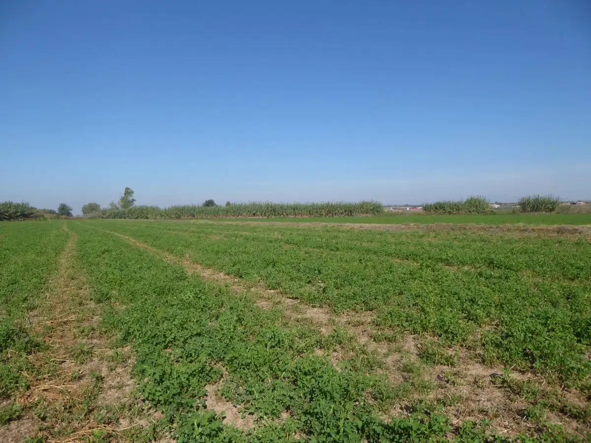 Lands and plots for sale in Salada o Eres i Serra, imagen 4