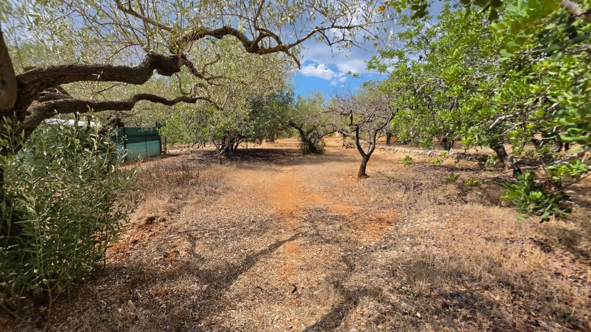Maison rustique avec piscine à vendre à El Perelló, imagen 34