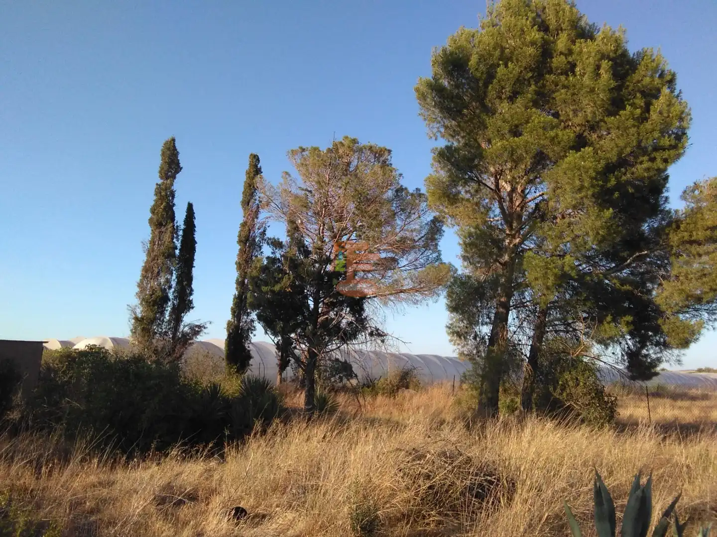 Terreno en venta en Zaragoza