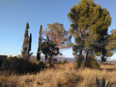 Terrain rustique à vendre à Urbanización 19 Huertos Regao Peñaf