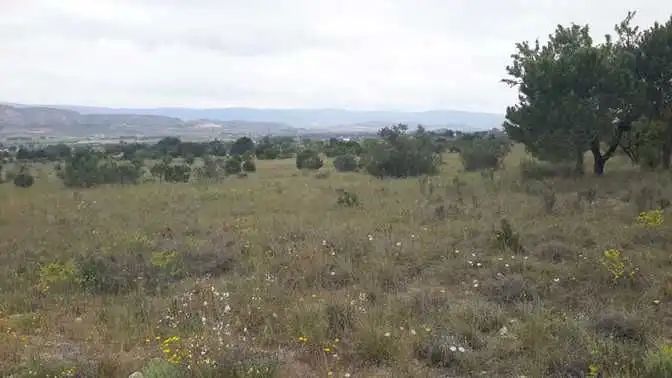 Residential land for sale in Carretera PL-51, imagen 8