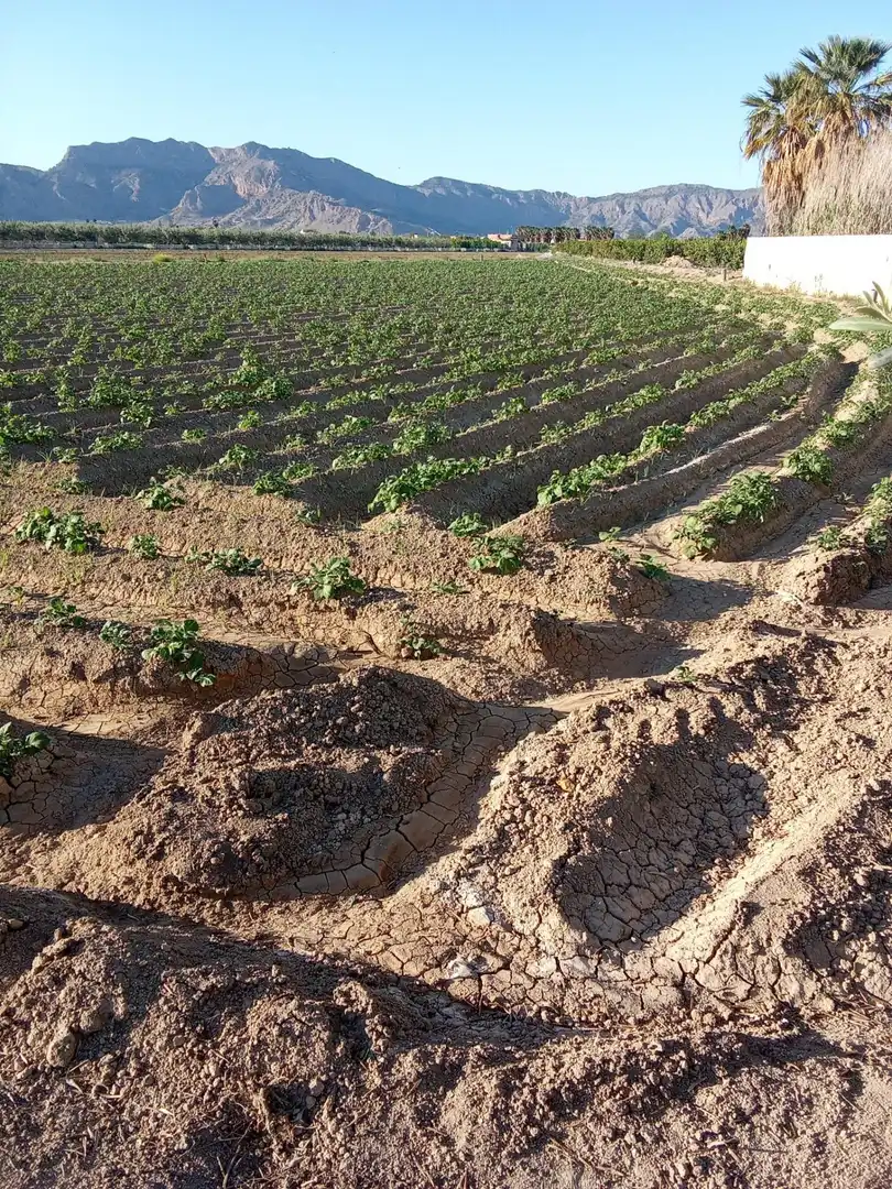 Casa rústica en venda a Desamparados - Hurchillo - Torremendo, imagen 9