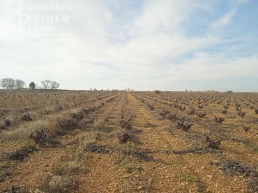 Terrenos y solares en venta en Socuéllamos