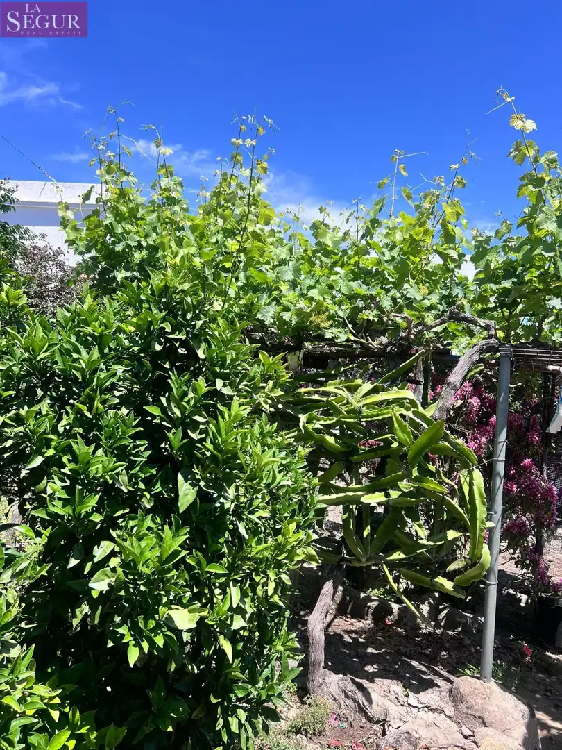 Jardí de Casa o xalet en venda en Vejer de la Frontera amb Jardí privat