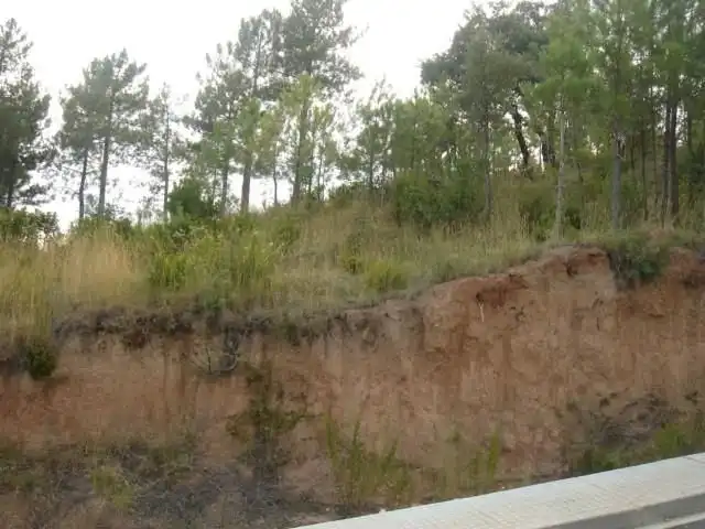 Terrenos y solares en venta en Riudarenes, imagen 6